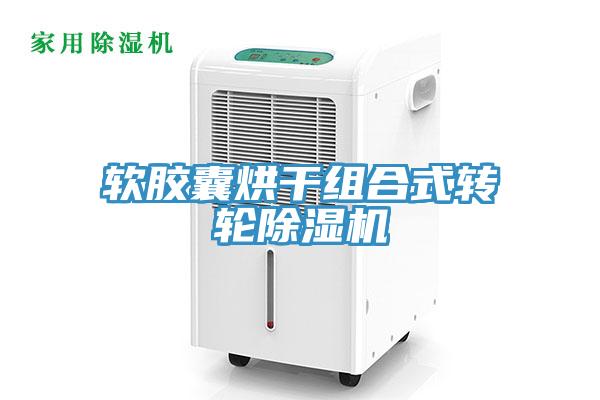 軟膠囊烘幹組合式轉輪91看片软件大全