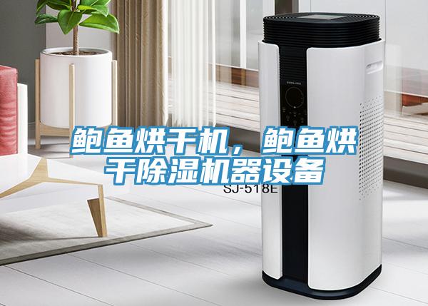 鮑魚烘幹機，鮑魚烘幹91看片软件大全器設備