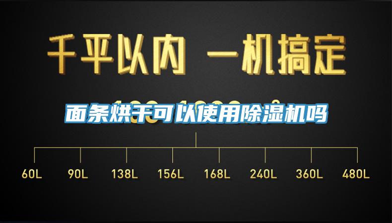 麵條烘幹可以使用91看片软件大全嗎