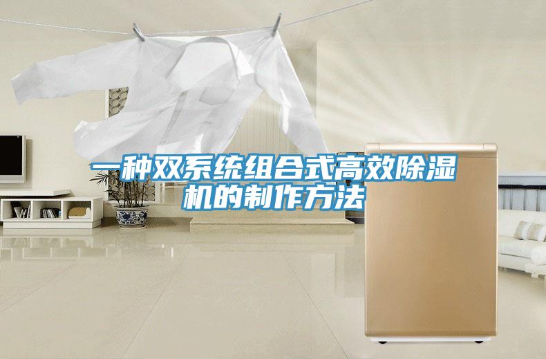 一種雙係統組合式高效91看片软件大全的製作方法