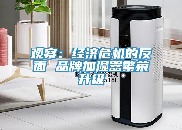 觀察：經濟危機的反麵 品牌加濕器繁榮升級