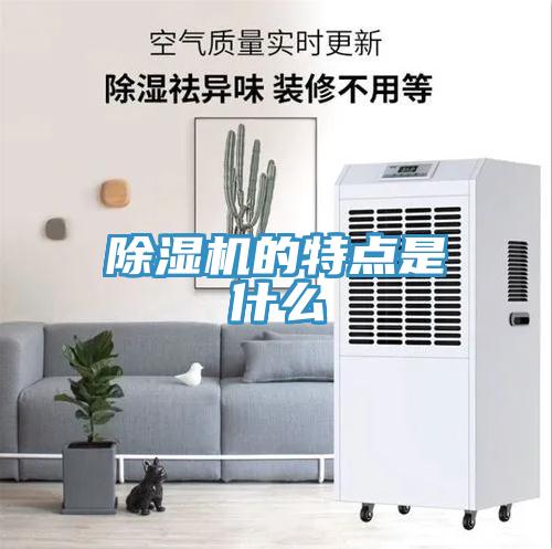 91看片软件大全的特點是什麽