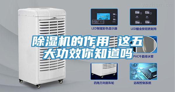91看片软件大全的作用 這五大功效你知道嗎