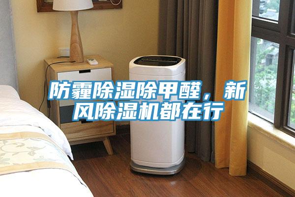 防霾除濕除甲醛，新風91看片软件大全都在行