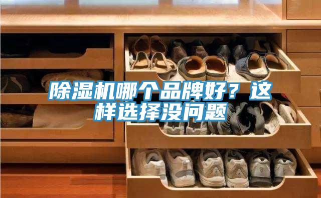 91看片软件大全哪個品牌好？這樣選擇沒問題