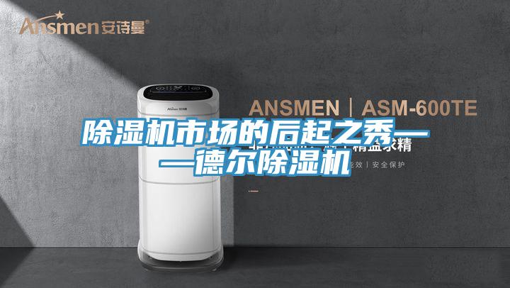 91看片软件大全市場的後起之秀——德爾91看片软件大全