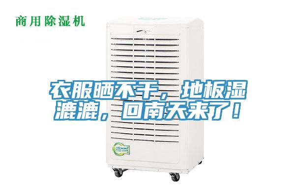 衣服曬不幹，地板濕漉漉，回南天來了！