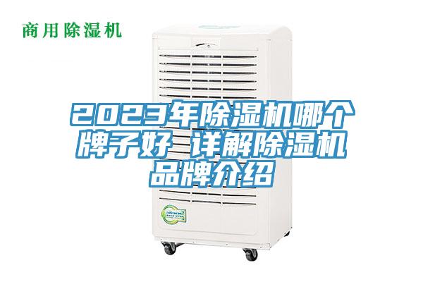 2023年91看片软件大全哪個牌子好 詳解91看片软件大全品牌介紹