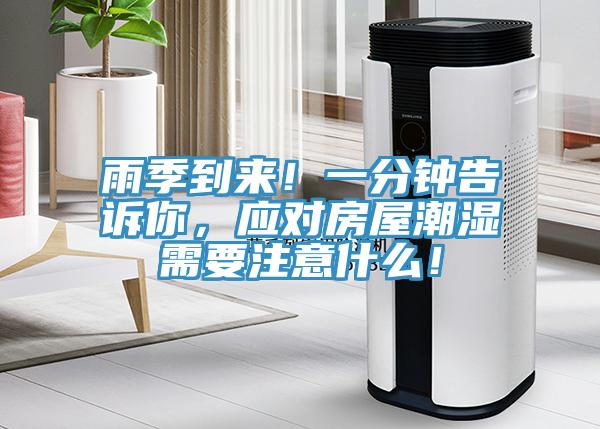 雨季到來！一分鍾告訴你，應對房屋潮濕需要注意什麽！