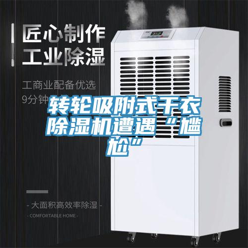 轉輪吸附式幹衣91看片软件大全遭遇“尷尬”