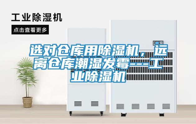 選對倉庫用91看片软件大全，遠離倉庫潮濕發黴---工業91看片软件大全