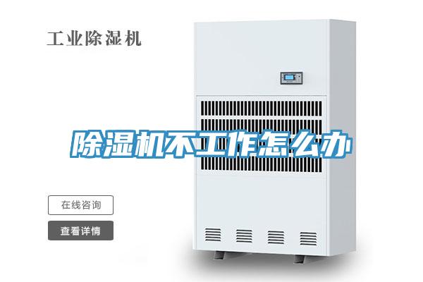 91看片软件大全不工作怎麽辦