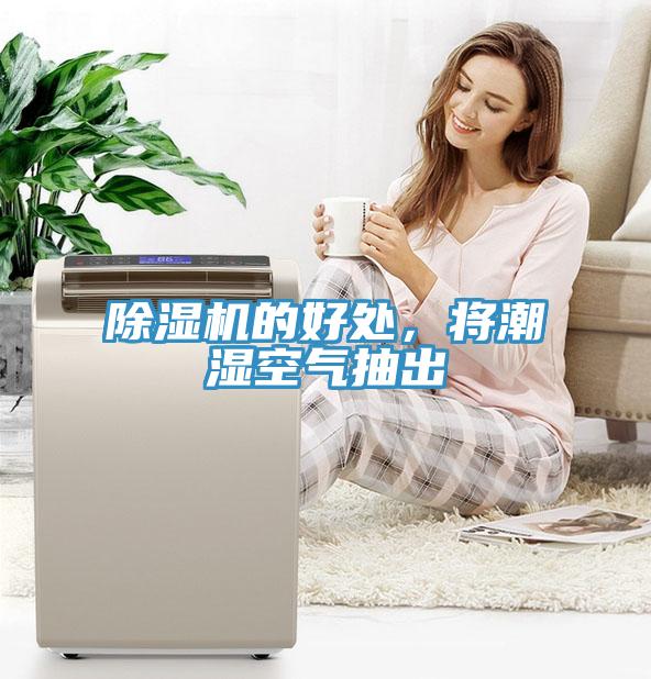 91看片软件大全的好處，將潮濕空氣抽出