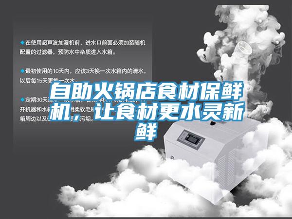 自助火鍋店食材保鮮機，讓食材更水靈新鮮
