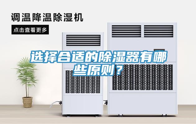 選擇合適的除濕器有哪些原則？