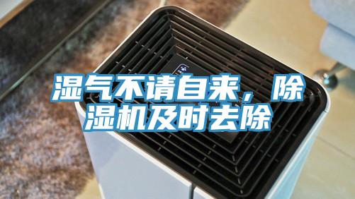 濕氣不請自來，91看片软件大全及時去除