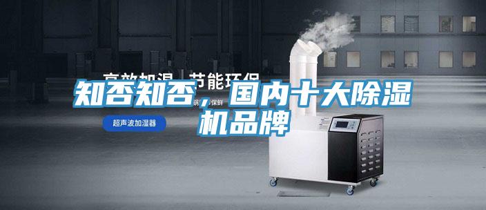 知否知否，國內十大91看片软件大全品牌