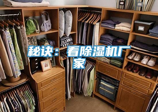 秘訣：看91看片软件大全廠家
