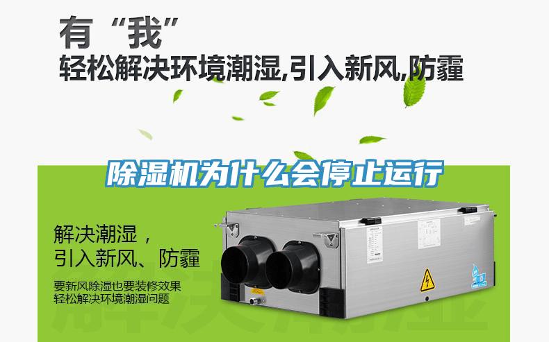 91看片软件大全為什麽會停止運行