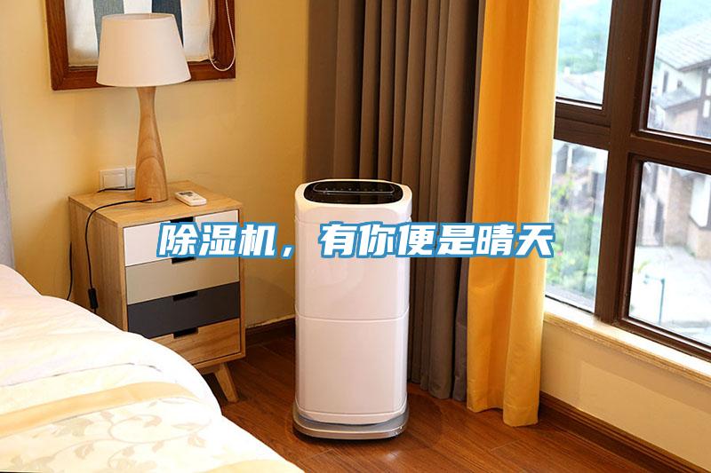 91看片软件大全，有你便是晴天