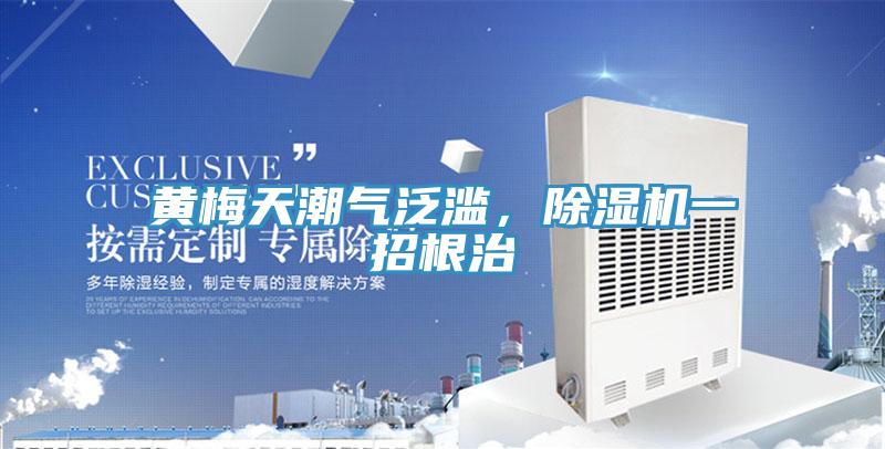 黃梅天潮氣泛濫，91看片软件大全一招根治