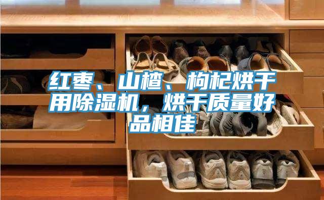 紅棗、山楂、枸杞烘幹用91看片软件大全，烘幹質量好品相佳