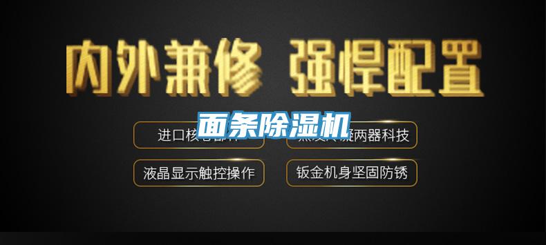 麵條91看片软件大全