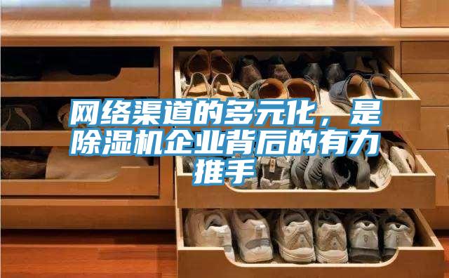 網絡渠道的多元化，是91看片软件大全企業背後的有力推手