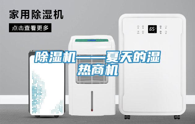 91看片软件大全——夏天的濕熱商機