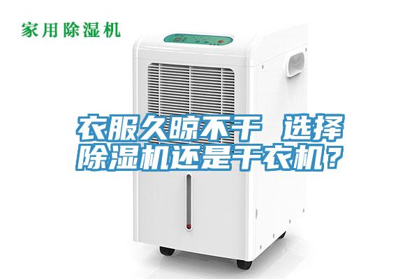 衣服久晾不幹 選擇91看片软件大全還是幹衣機？