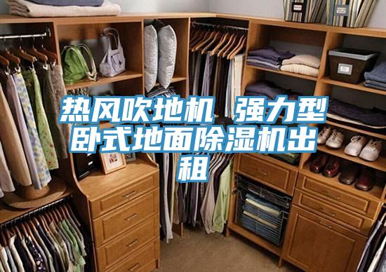 熱風吹地機 強力型臥式地麵91看片软件大全出租