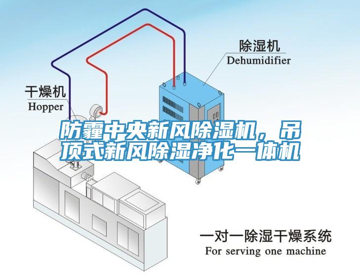 防霾中央新風91看片软件大全，吊頂式新風除濕淨化一體機