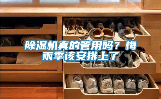 91看片软件大全真的管用嗎？梅雨季該安排上了