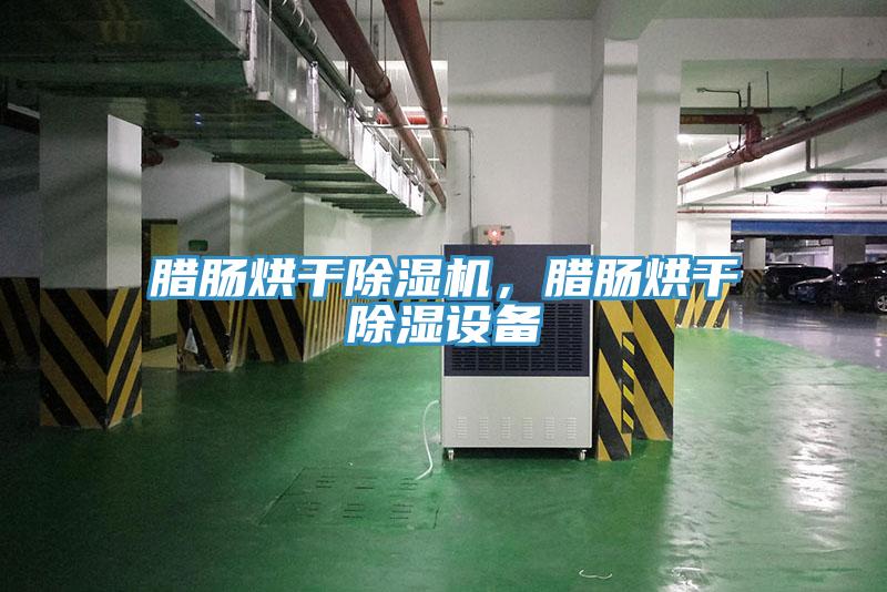 臘腸烘幹91看片软件大全，臘腸烘幹除濕設備