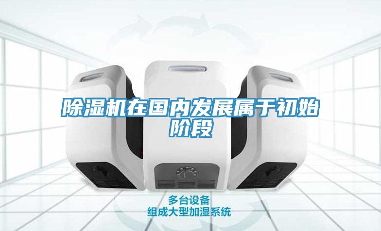 91看片软件大全在國內發展屬於初始階段