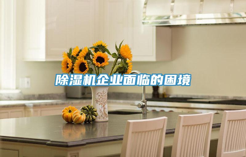 91看片软件大全企業麵臨的困境