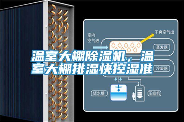 溫室大棚91看片软件大全，溫室大棚排濕快控濕準