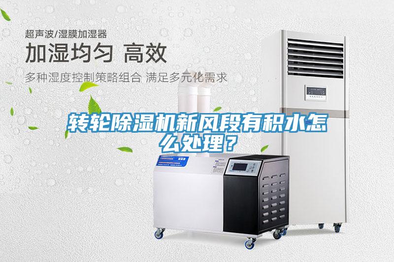 轉輪91看片软件大全新風段有積水怎麽處理？