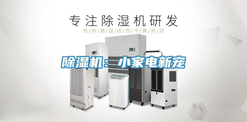 91看片软件大全：小家電新寵