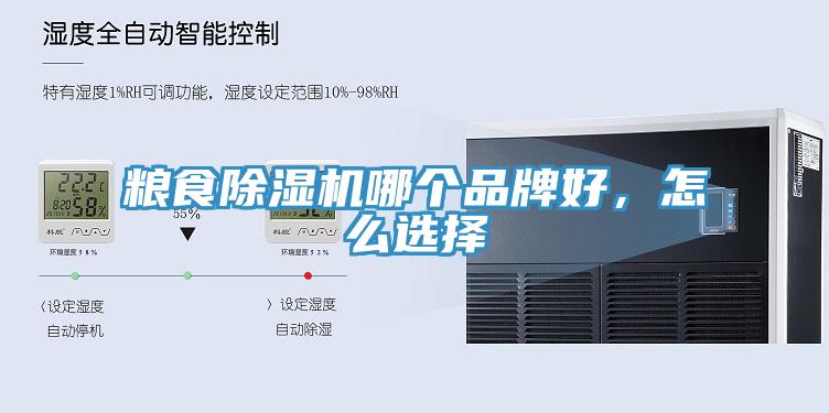 糧食91看片软件大全哪個品牌好，怎麽選擇