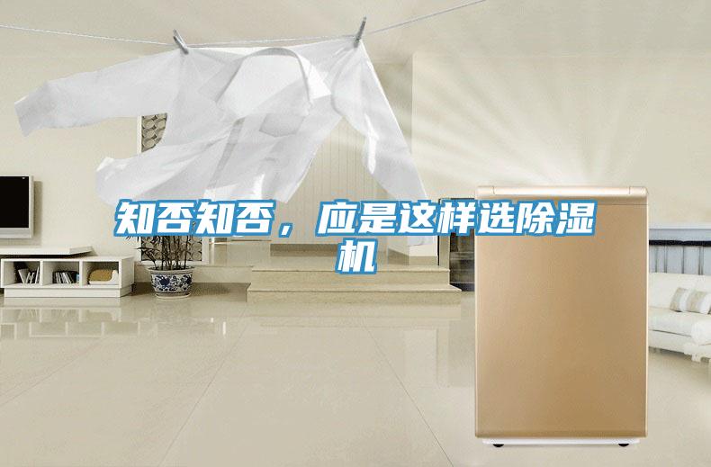 知否知否，應是這樣選91看片软件大全