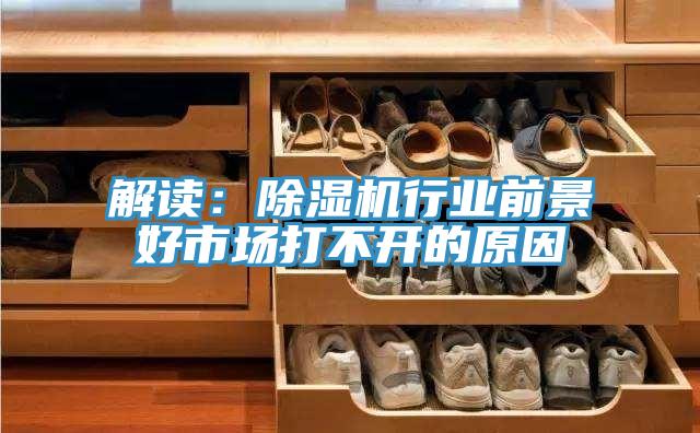 解讀：91看片软件大全行業前景好市場打不開的原因