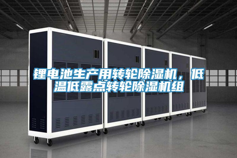 鋰電池生產用轉輪91看片软件大全，低溫低露點轉輪91看片软件大全組