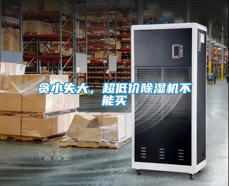 貪小失大，超低價91看片软件大全不能買