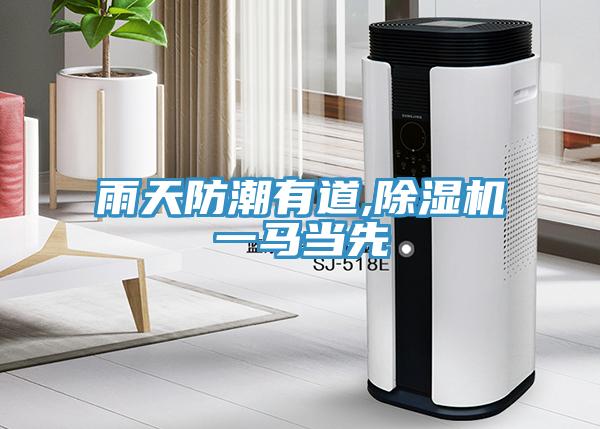 雨天防潮有道,91看片软件大全一馬當先