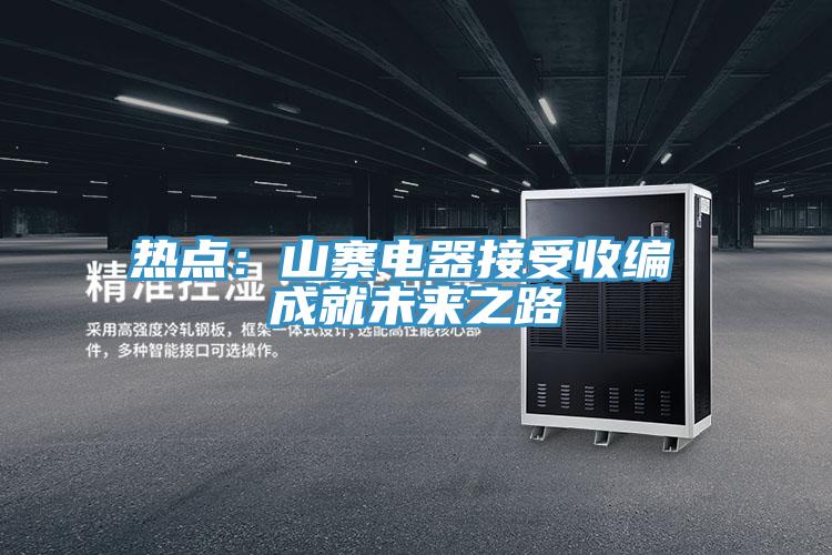 熱點：山寨電器接受收編 成就未來之路