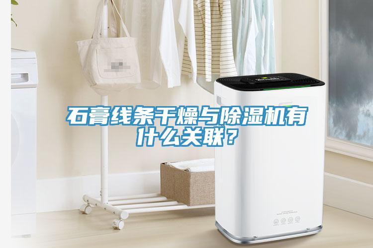 石膏線條幹燥與91看片软件大全有什麽關聯？