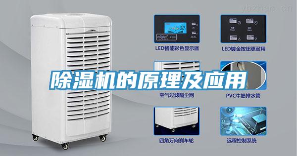91看片软件大全的原理及應用