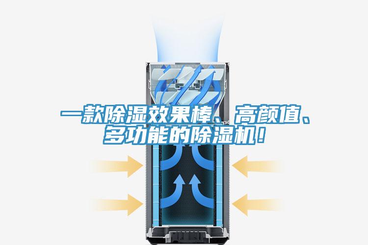 一款除濕效果棒、高顏值、多功能的91看片软件大全！