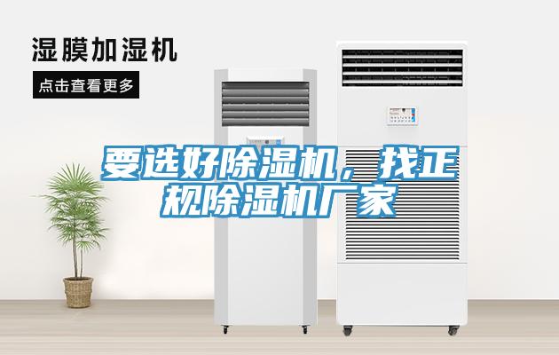 要選好91看片软件大全，找正規91看片软件大全廠家